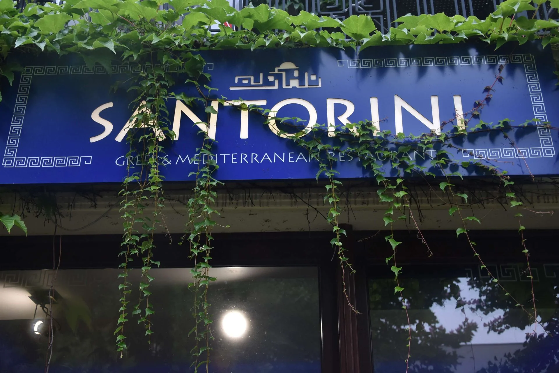 Szyld Santorini otoczony zielonymi pnączami.